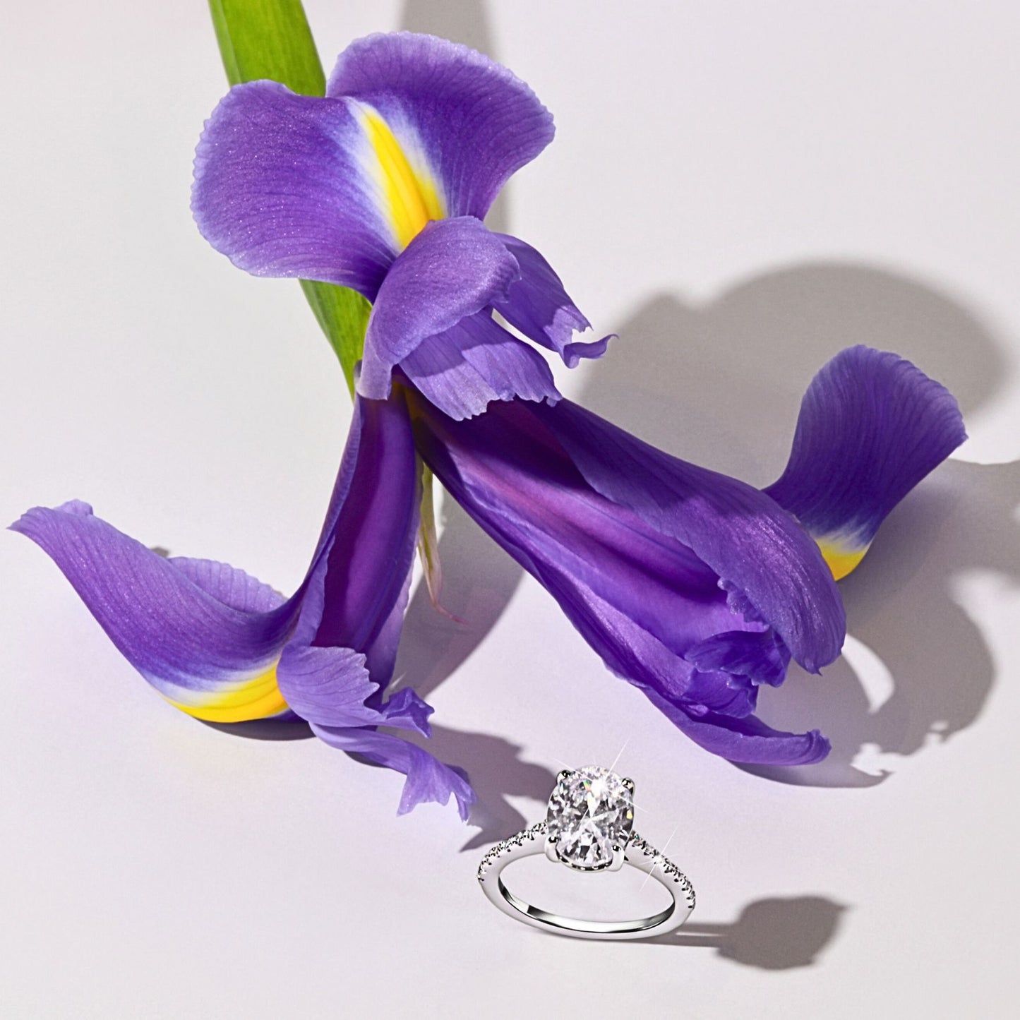 Oval Solitaire Band Ring